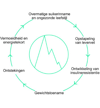 Verdikken door een overbelaste lever